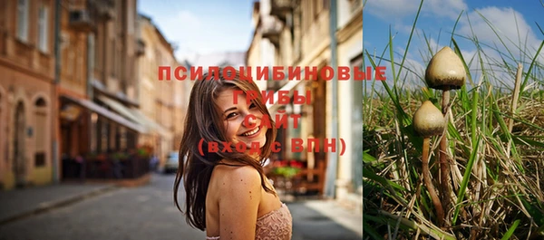 крисы Баксан