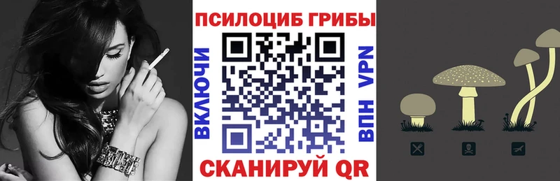 Галлюциногенные грибы Cubensis  купить наркоту  Нарткала 